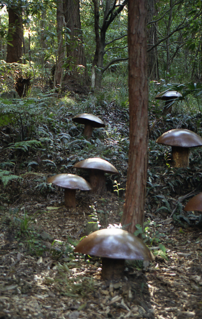 138-mushrooms